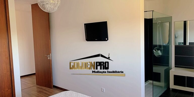 GP0250-24logo